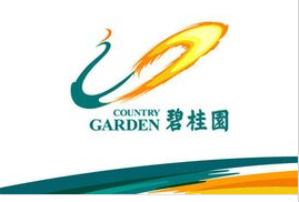 碧桂園集團-哈佛伙伴